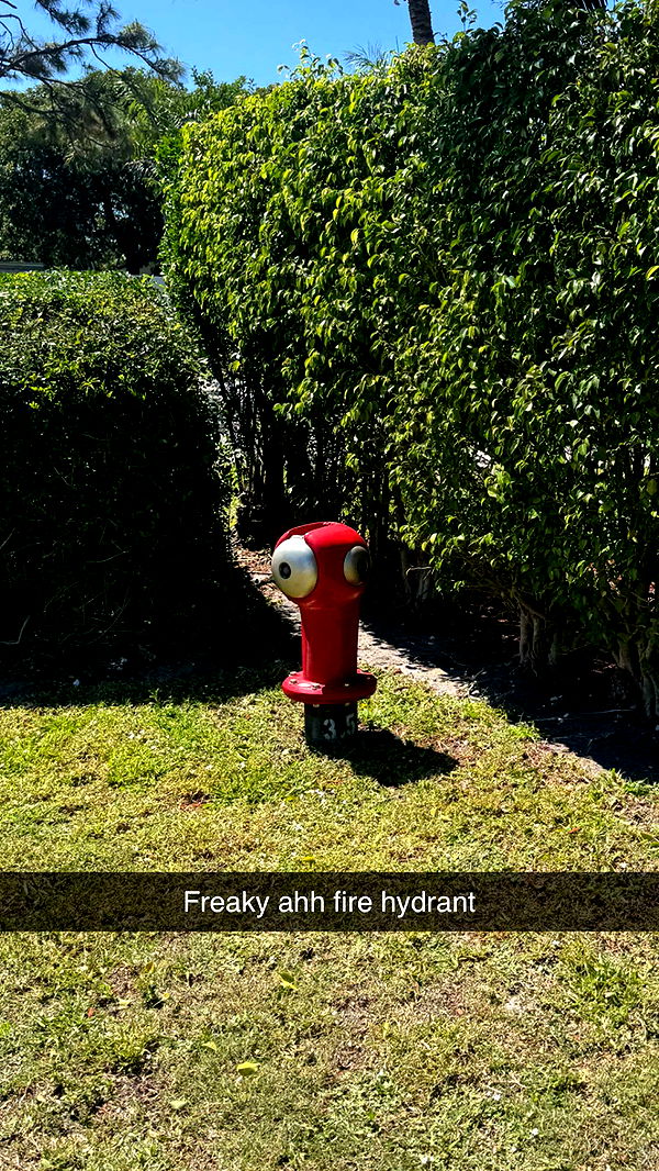 jacobxday image ~ Altpins