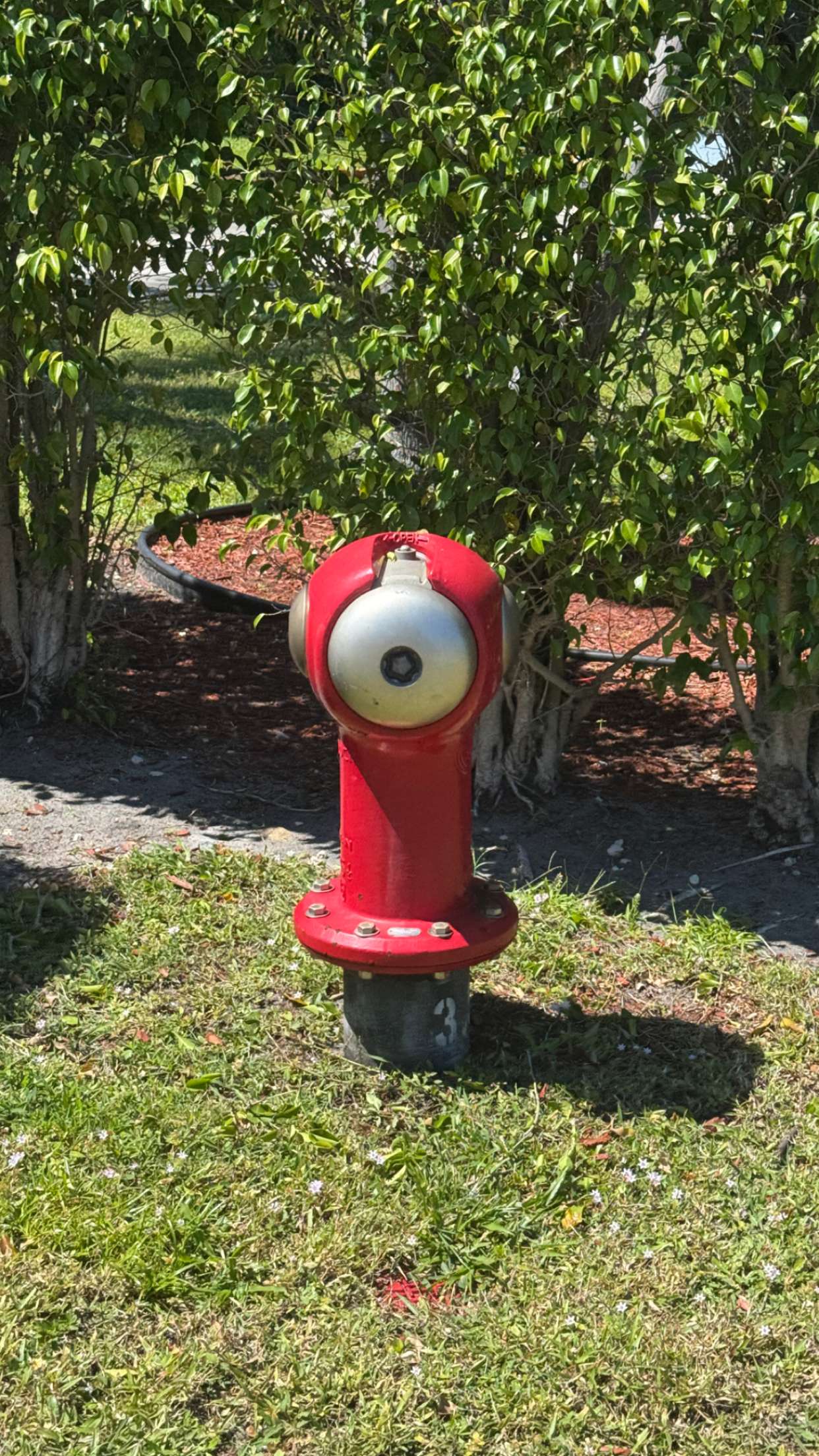 jacobxday snapchat image archive image