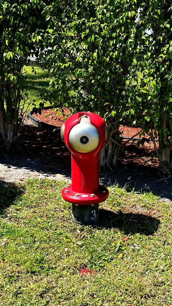 jacobxday image ~ Altpins