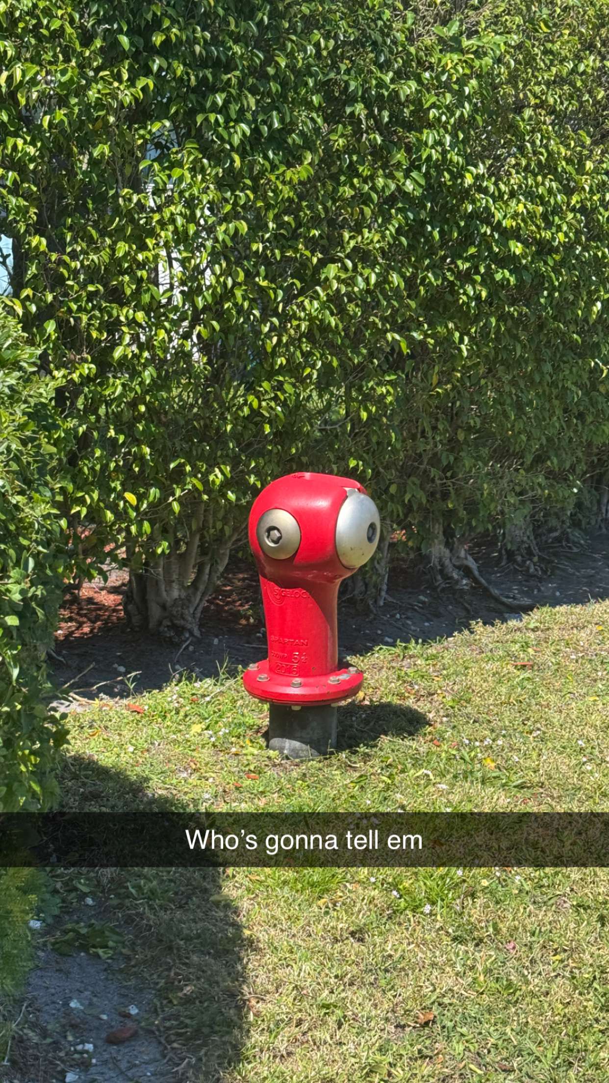 jacobxday snapchat image archive image