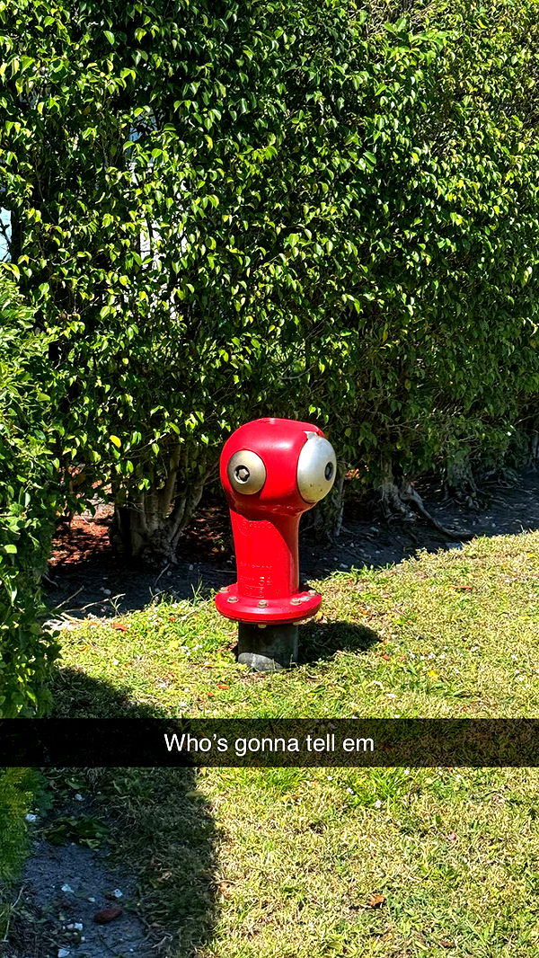 jacobxday image ~ Altpins