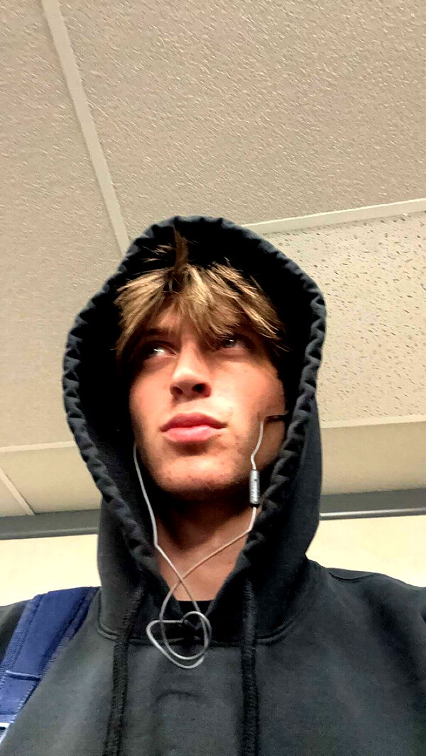 jacobxday image ~ Altpins