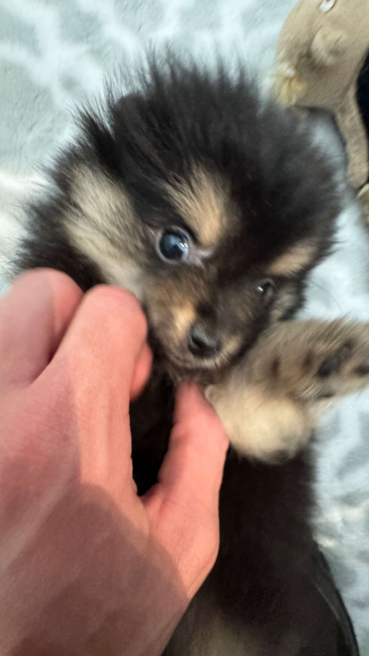 jacobxday snapchat image archive image