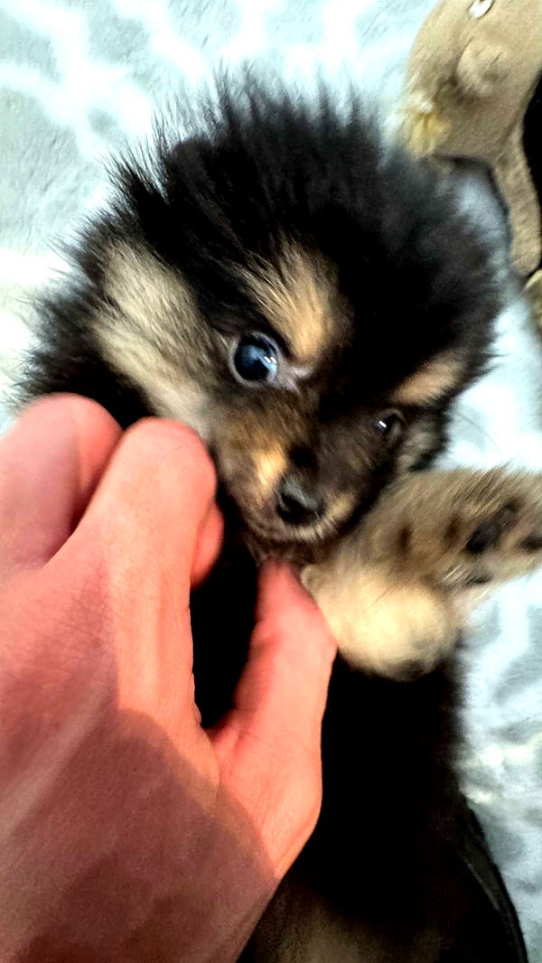 jacobxday image ~ Altpins