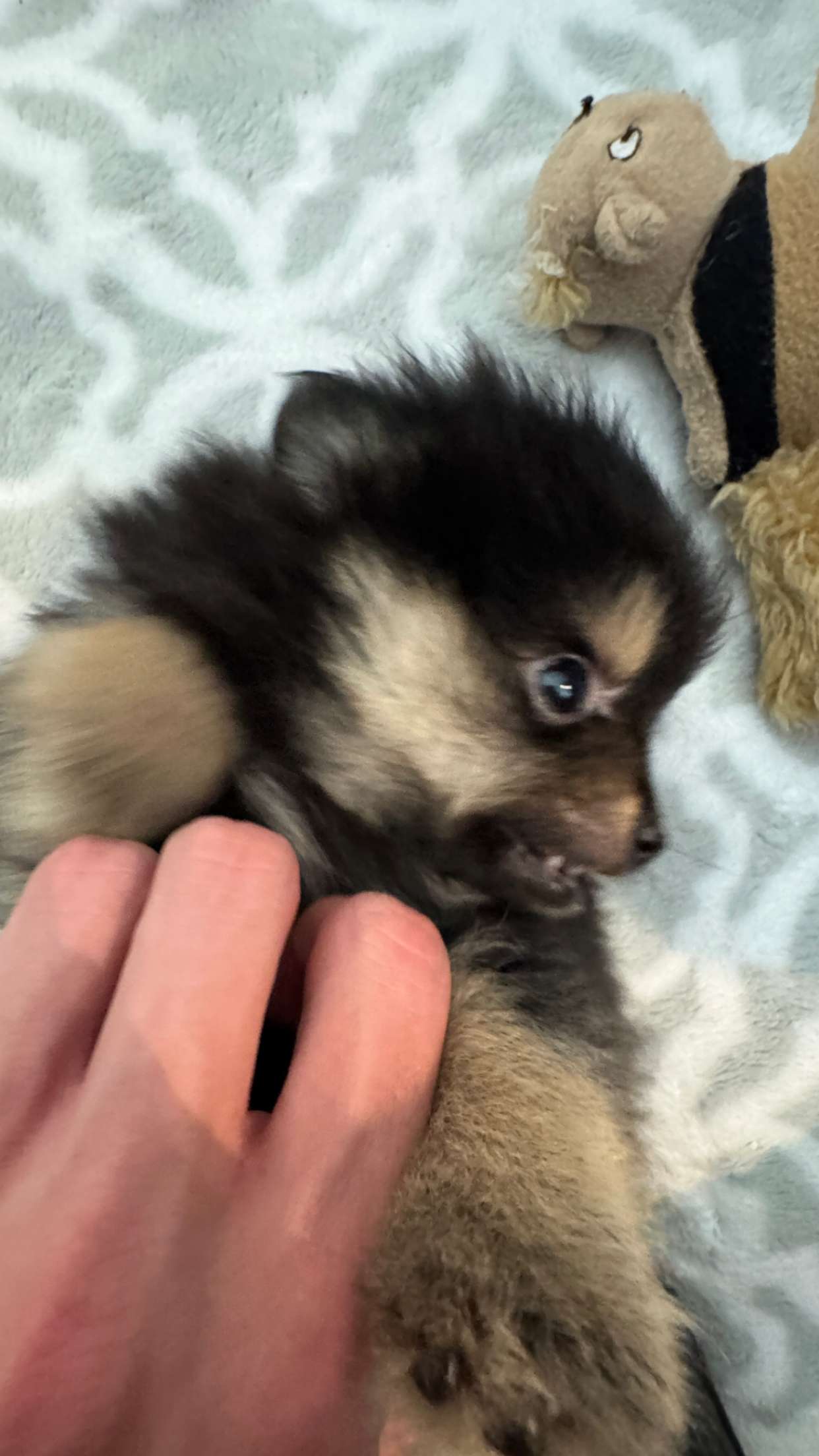 jacobxday snapchat image archive image