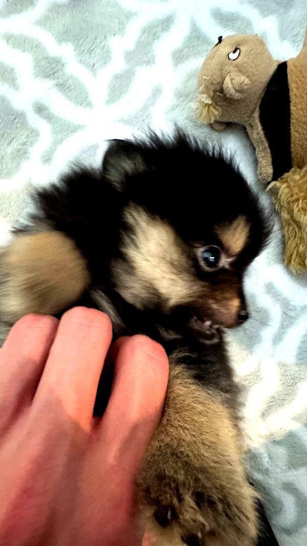 jacobxday image ~ Altpins