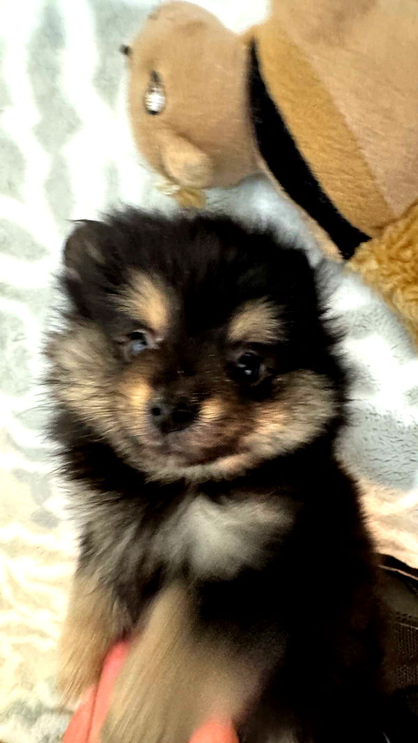 jacobxday image ~ Altpins