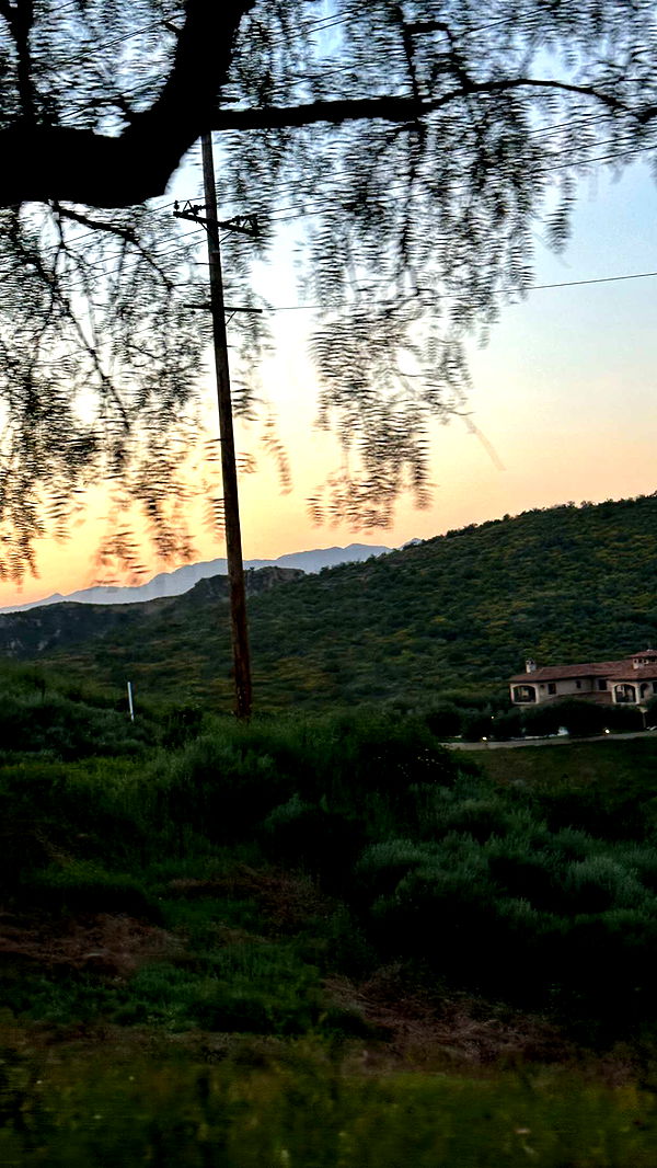 jacobxday image ~ Altpins