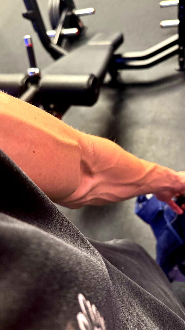 jacobxday image ~ Altpins