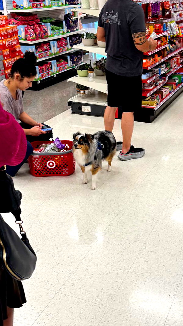 jacobxday image ~ Altpins