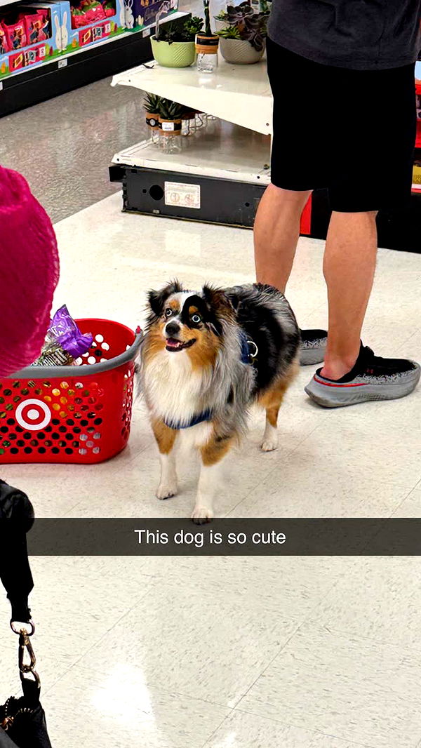 jacobxday image ~ Altpins