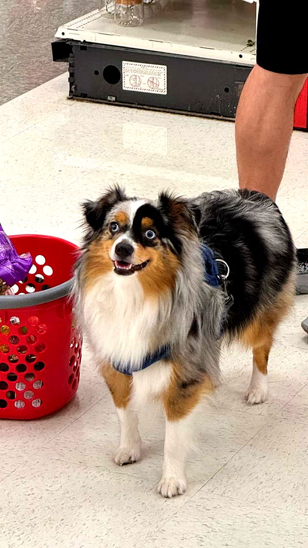 jacobxday image ~ Altpins