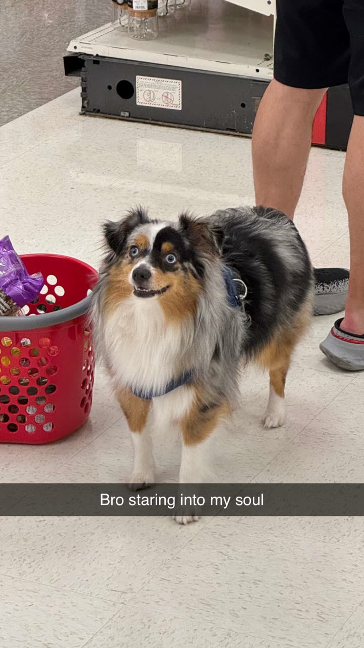 jacobxday snapchat image archive image