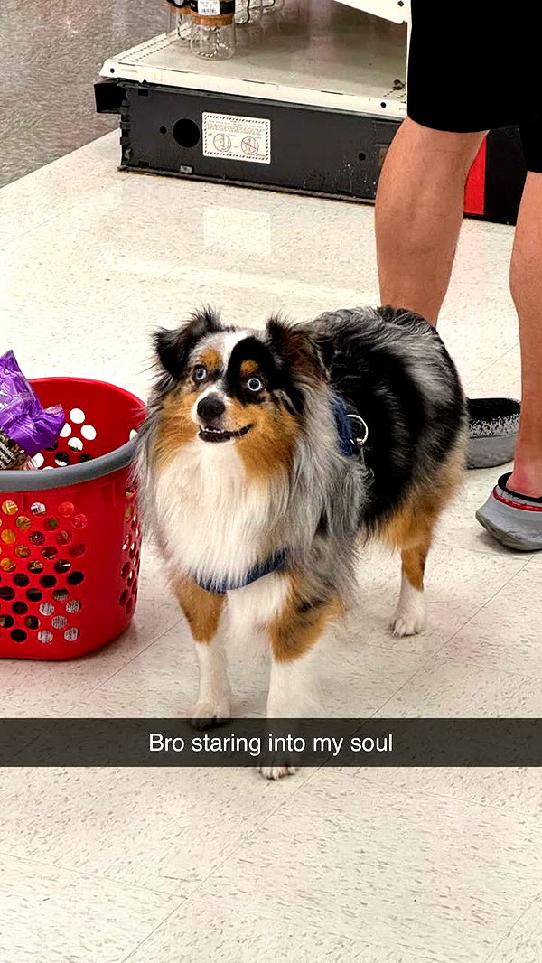 jacobxday image ~ Altpins