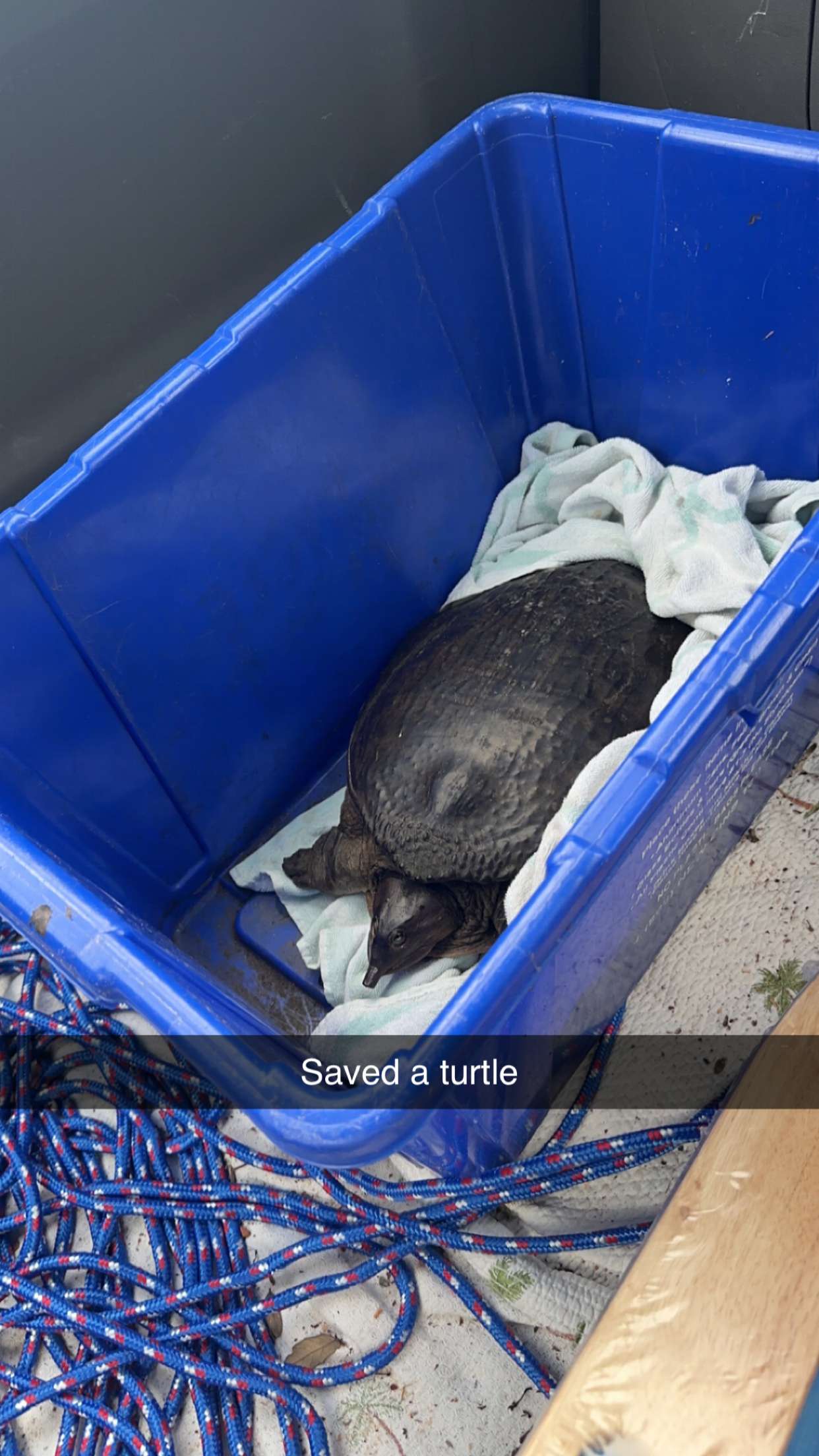 jacobxday snapchat image archive image