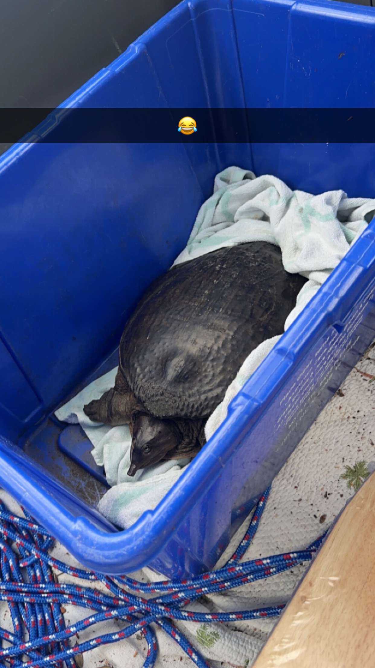 jacobxday snapchat image archive image