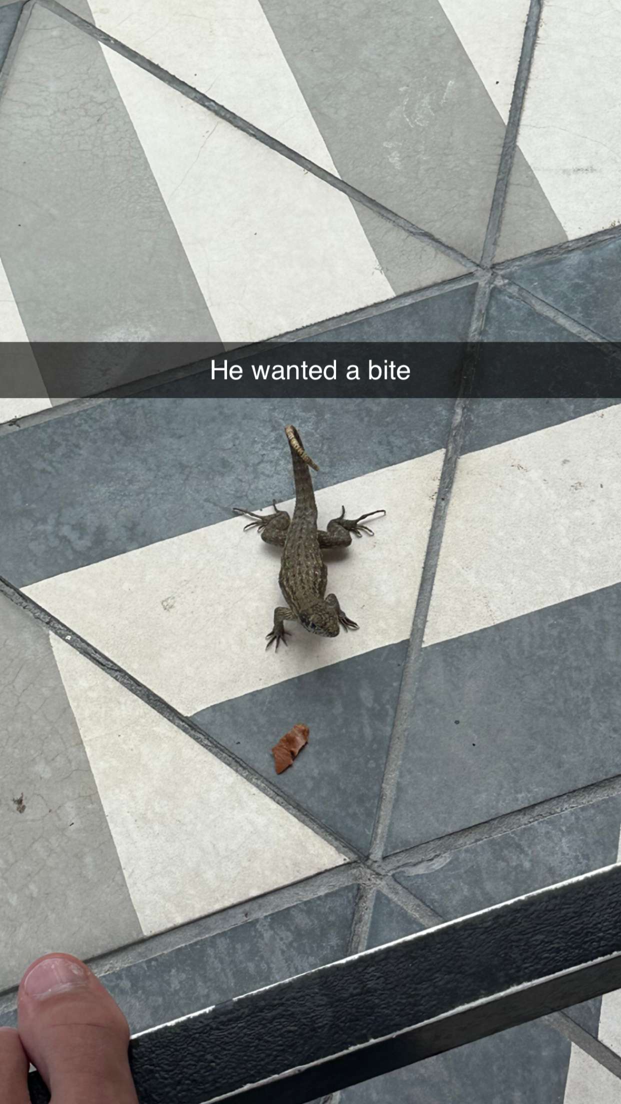 jacobxday snapchat image archive image