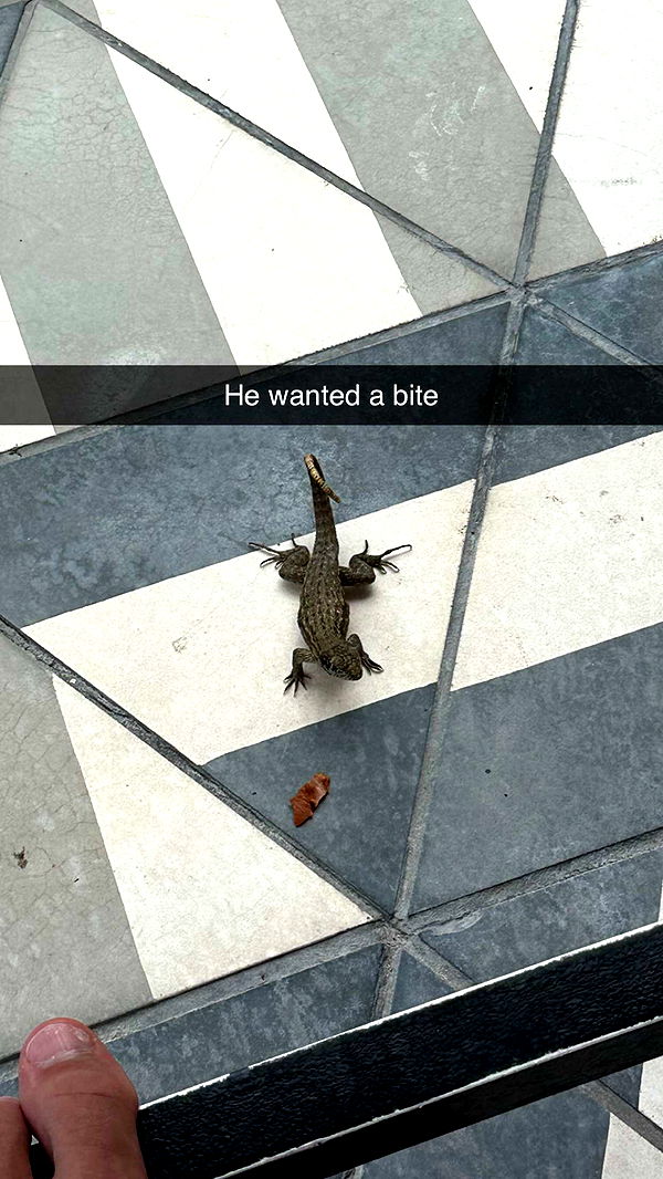 jacobxday image ~ Altpins