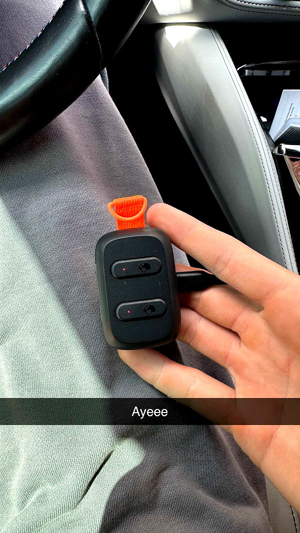 jacobxday image ~ Altpins