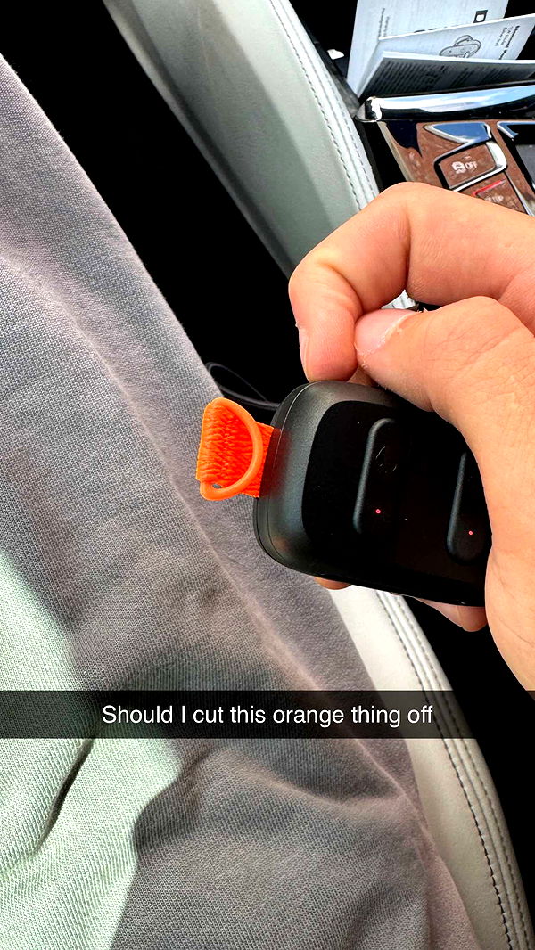 jacobxday image ~ Altpins