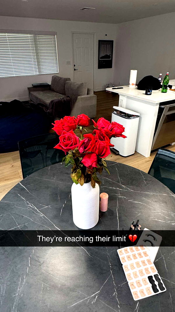 jacobxday image ~ Altpins