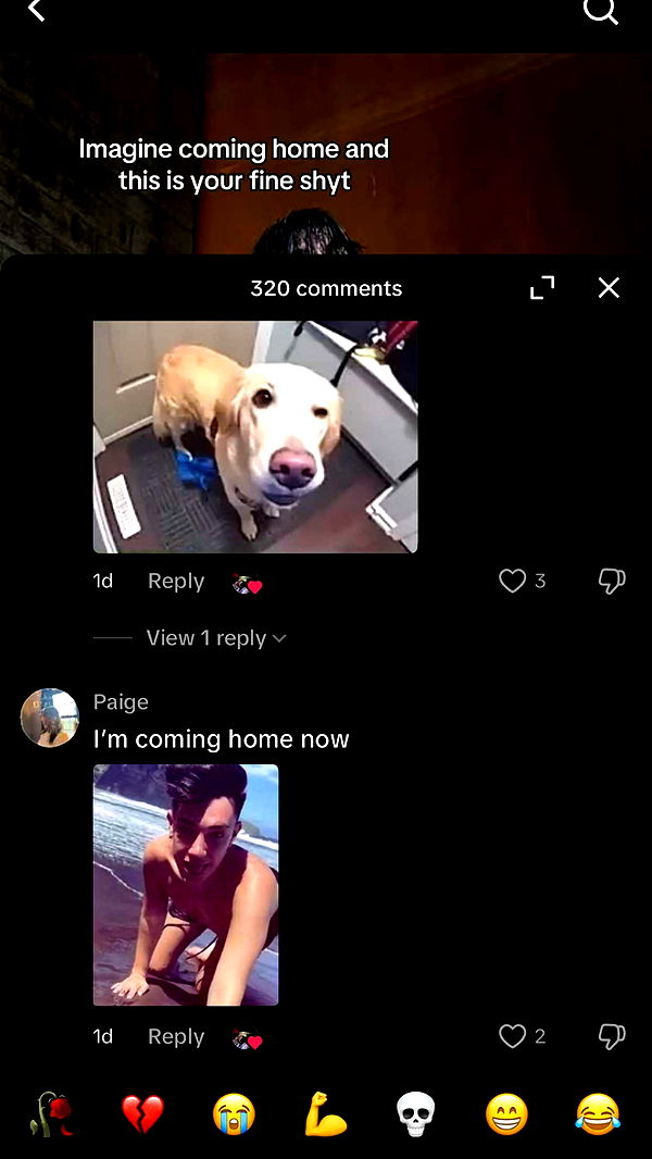 jacobxday image ~ Altpins