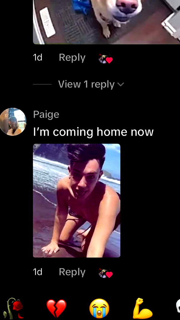 jacobxday image ~ Altpins