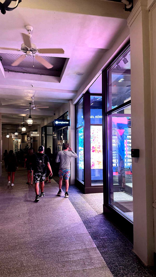 jacobxday image ~ Altpins