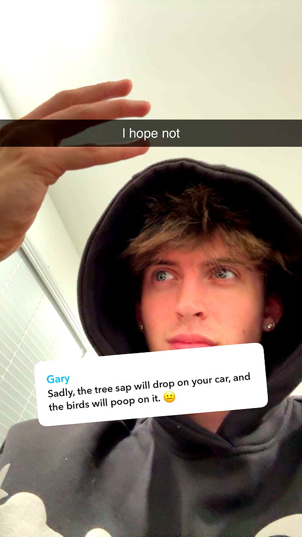 jacobxday image ~ Altpins