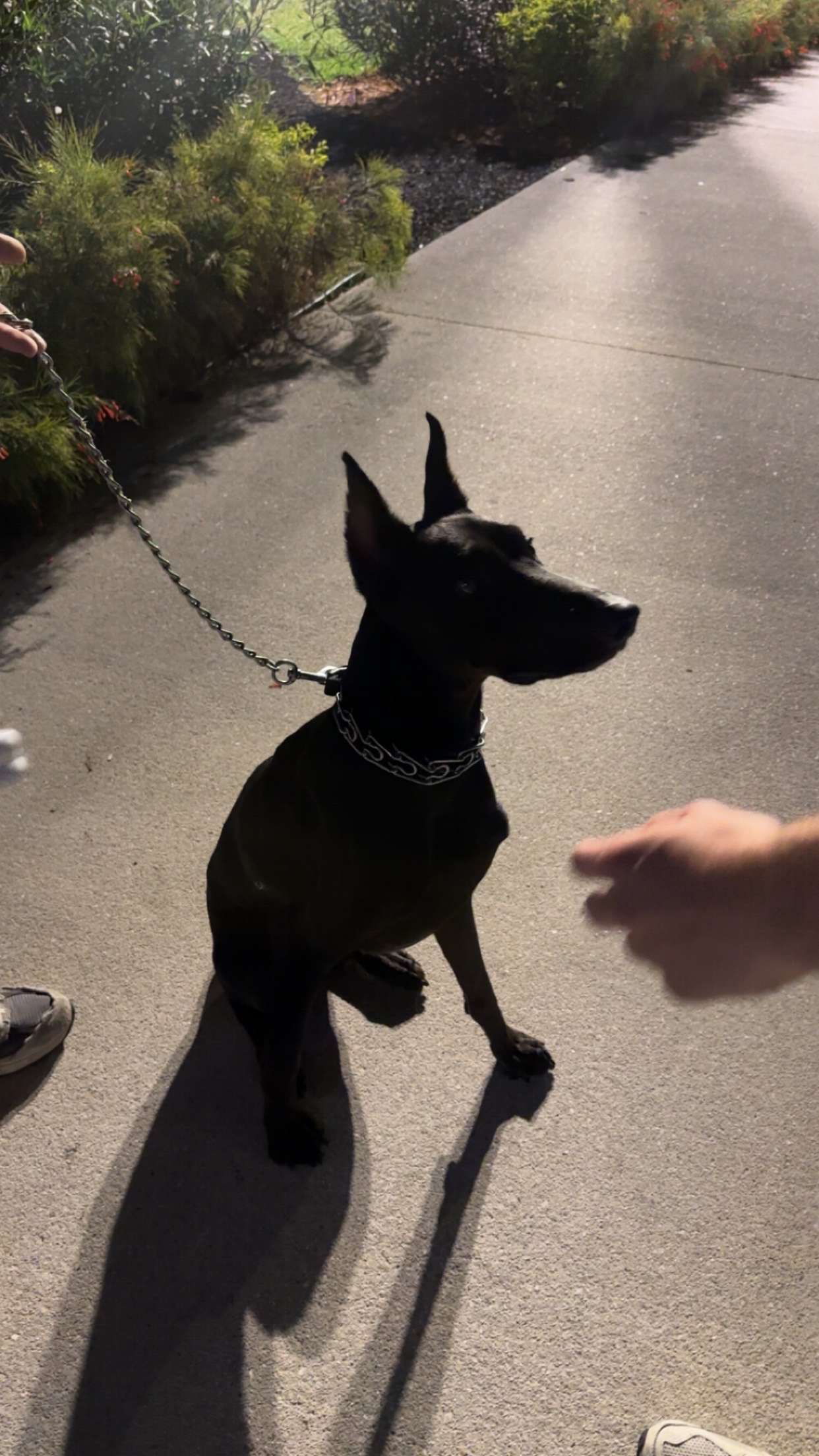 jacobxday snapchat image archive image