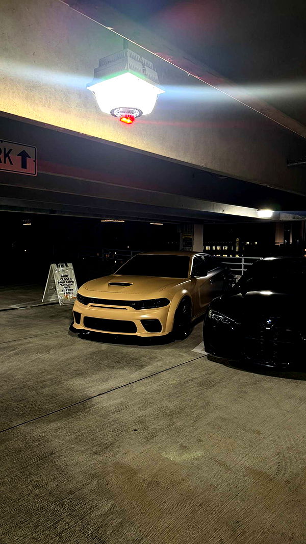 jacobxday image ~ Altpins