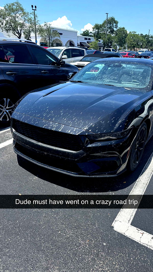 jacobxday image ~ Altpins