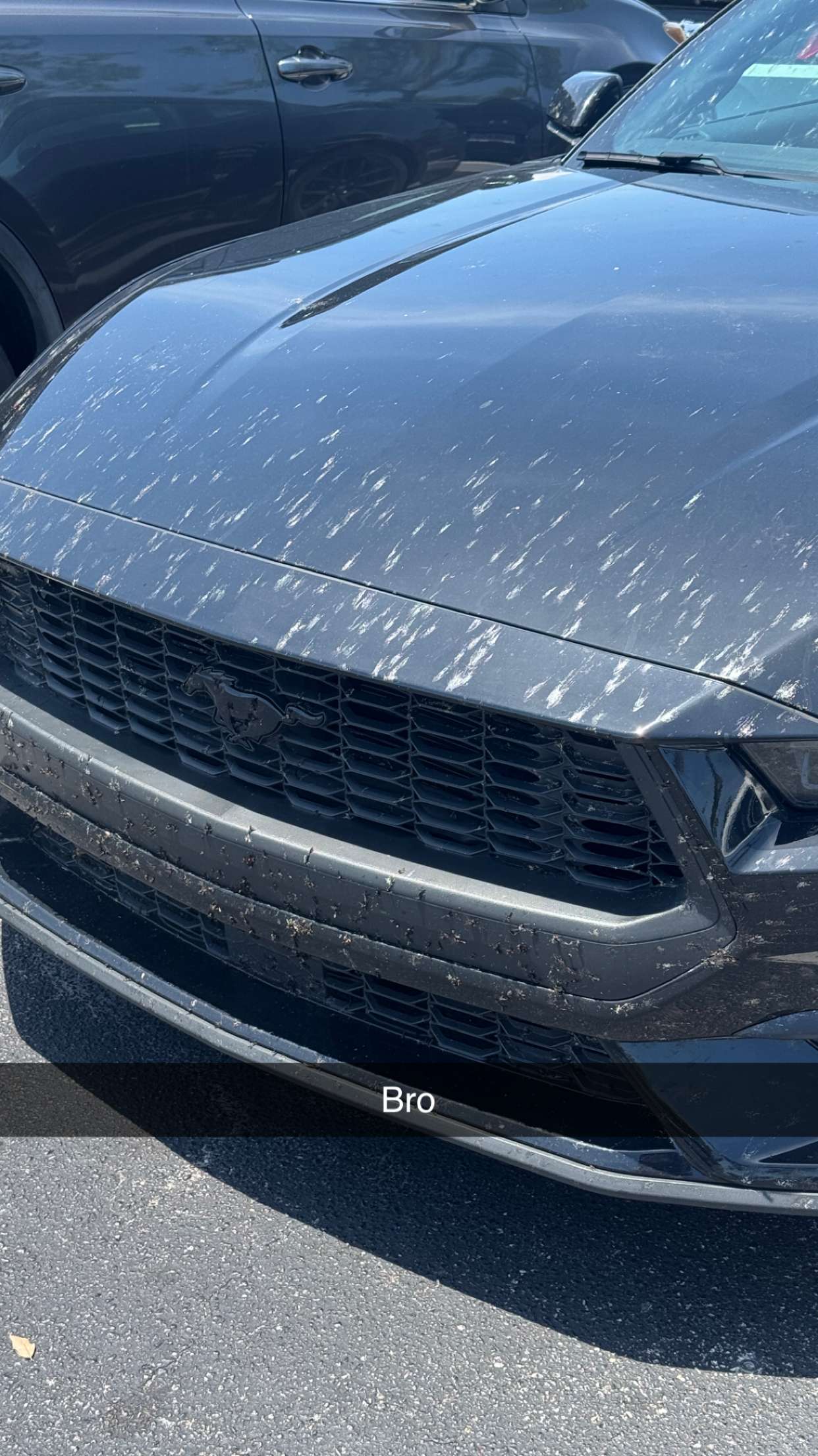 jacobxday snapchat image archive image