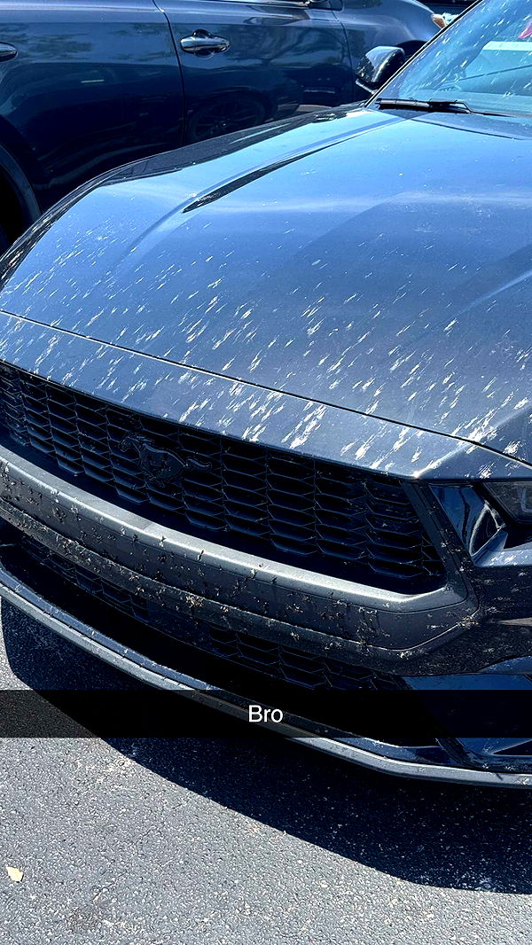 jacobxday image ~ Altpins