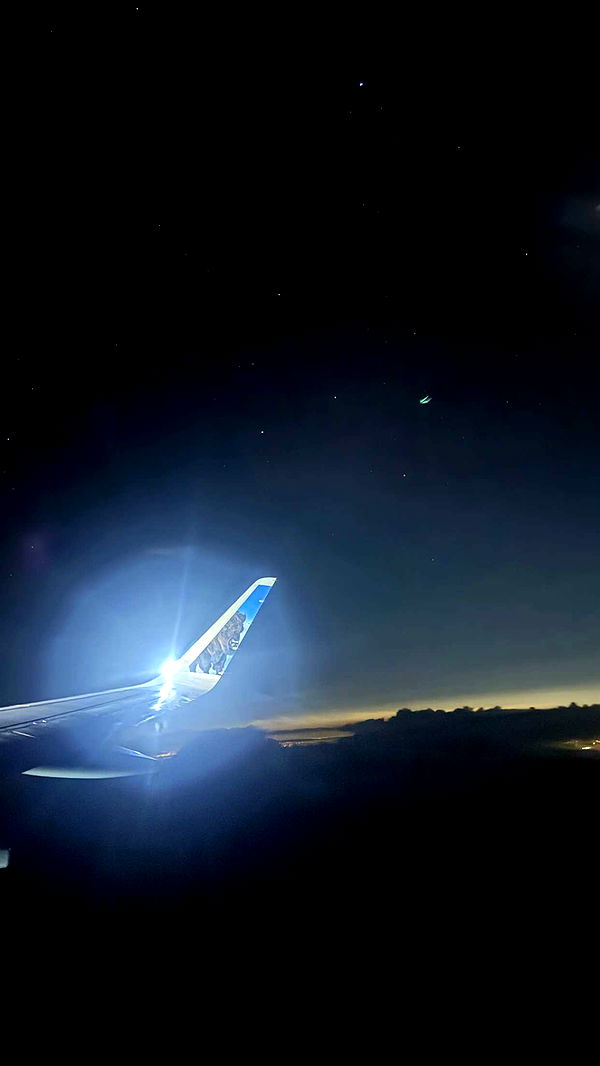 jacobxday image ~ Altpins