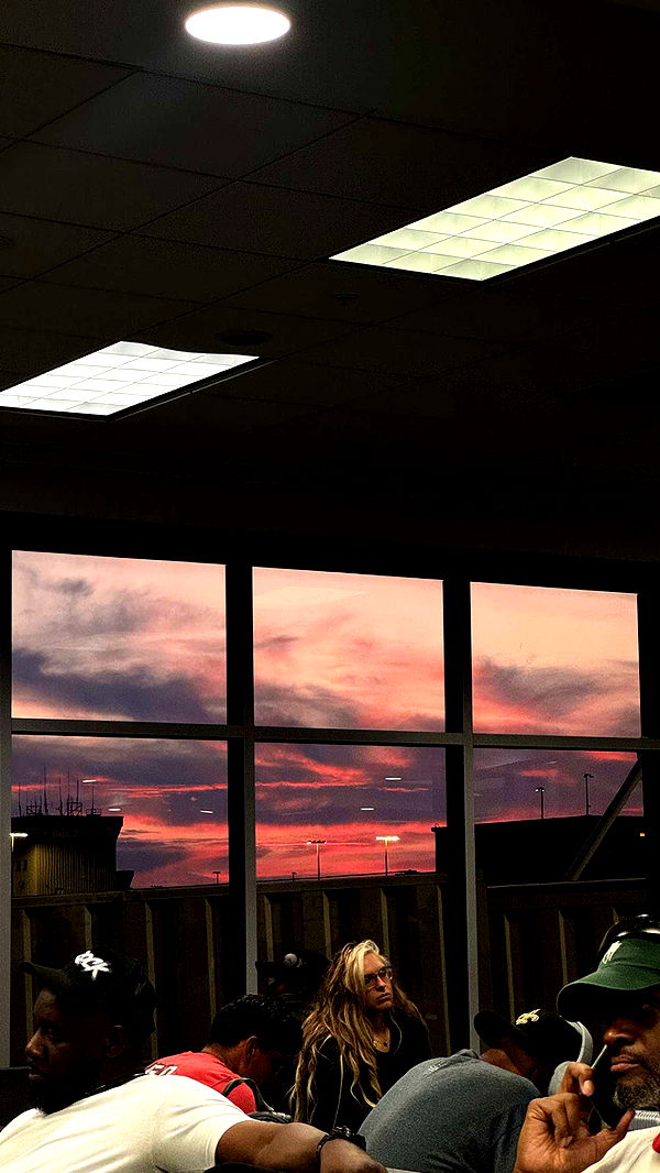 jacobxday image ~ Altpins