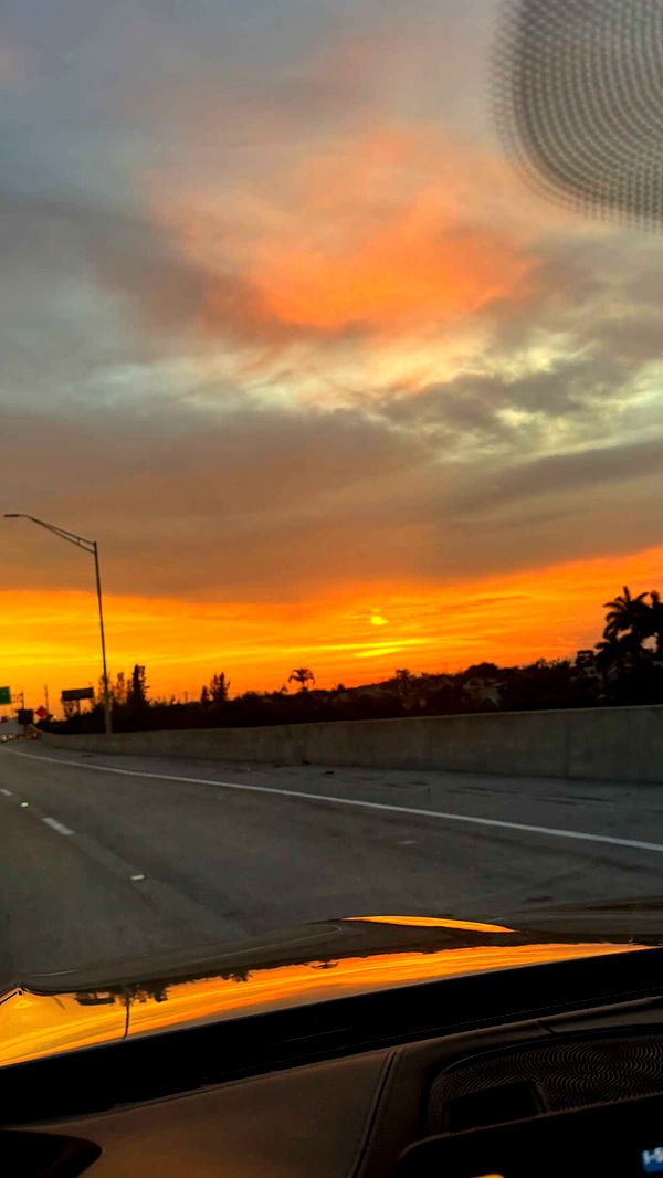 jacobxday image ~ Altpins