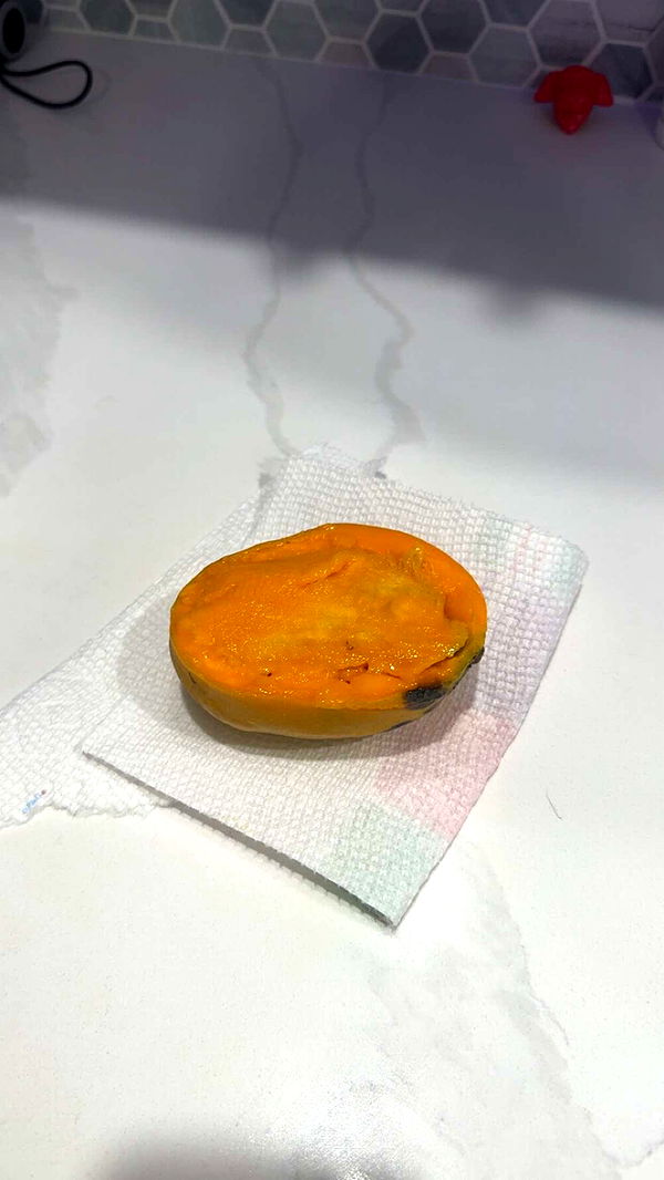 jacobxday image ~ Altpins