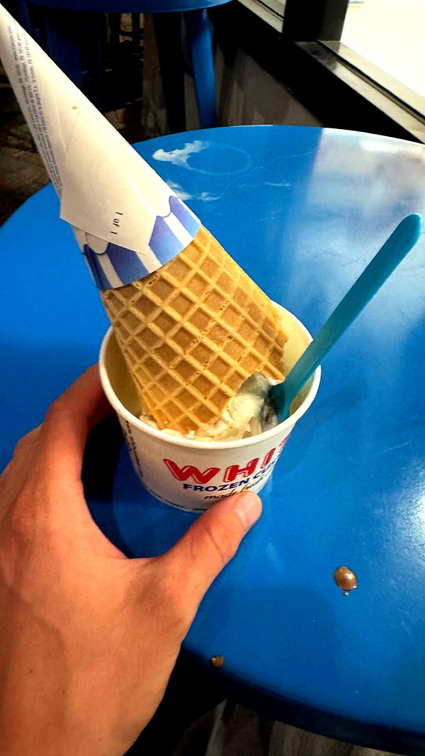 jacobxday image ~ Altpins