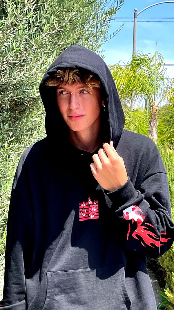 jacobxday image ~ Altpins