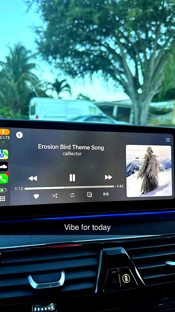 jacobxday image ~ Altpins