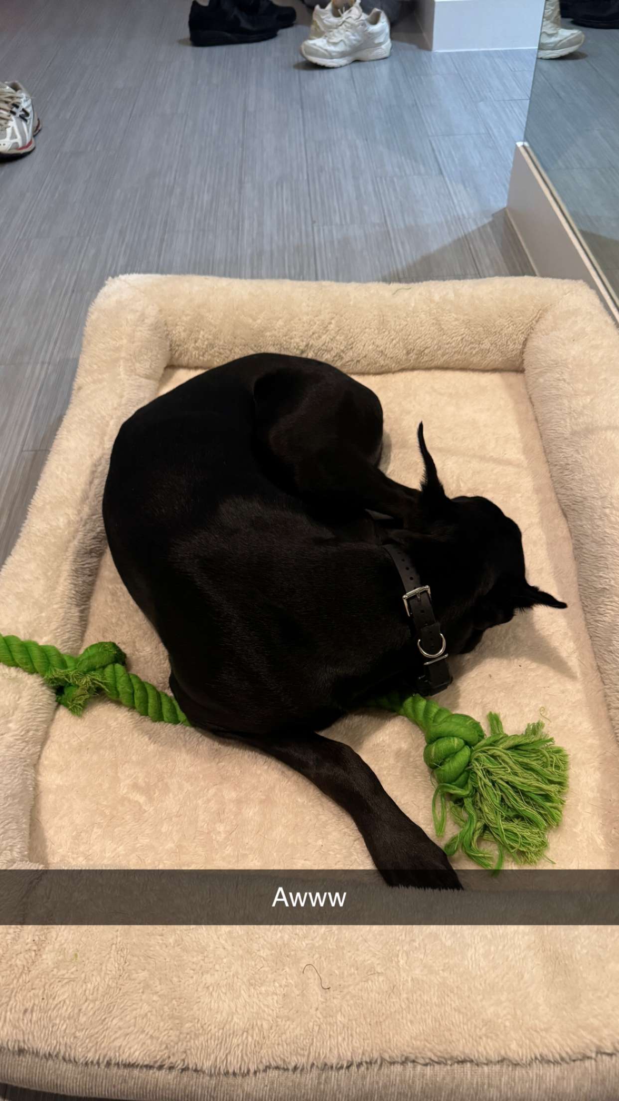 jacobxday snapchat image archive image