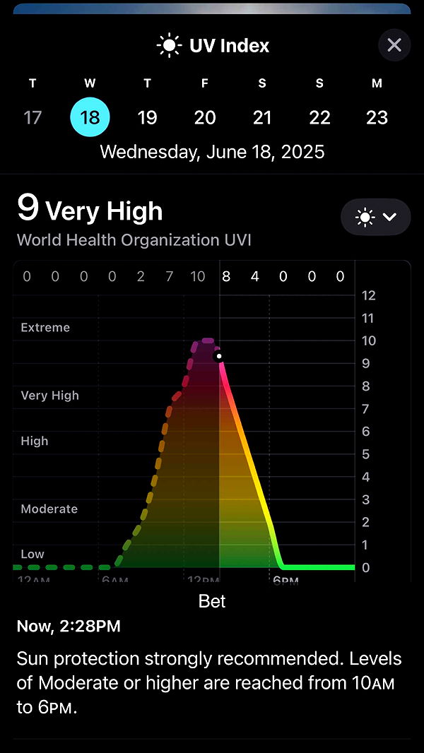 jacobxday image ~ Altpins