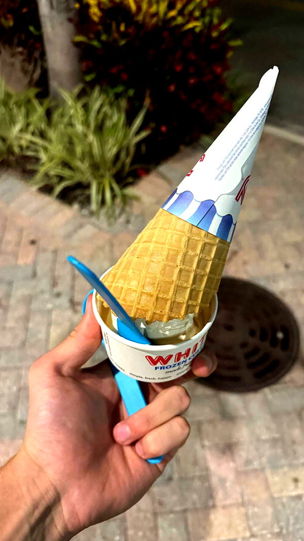 jacobxday image ~ Altpins