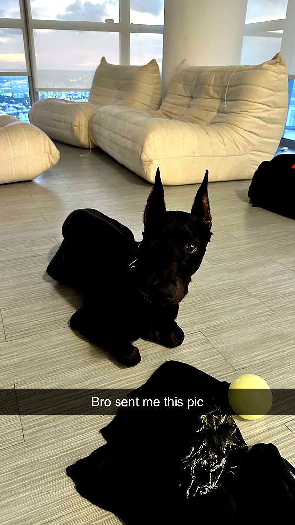 jacobxday image ~ Altpins