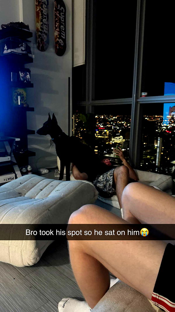 jacobxday image ~ Altpins