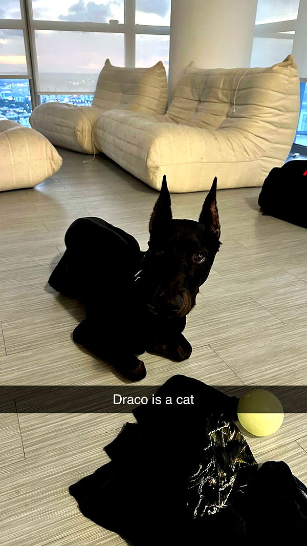 jacobxday image ~ Altpins