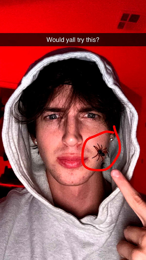 jacobxday image ~ Altpins