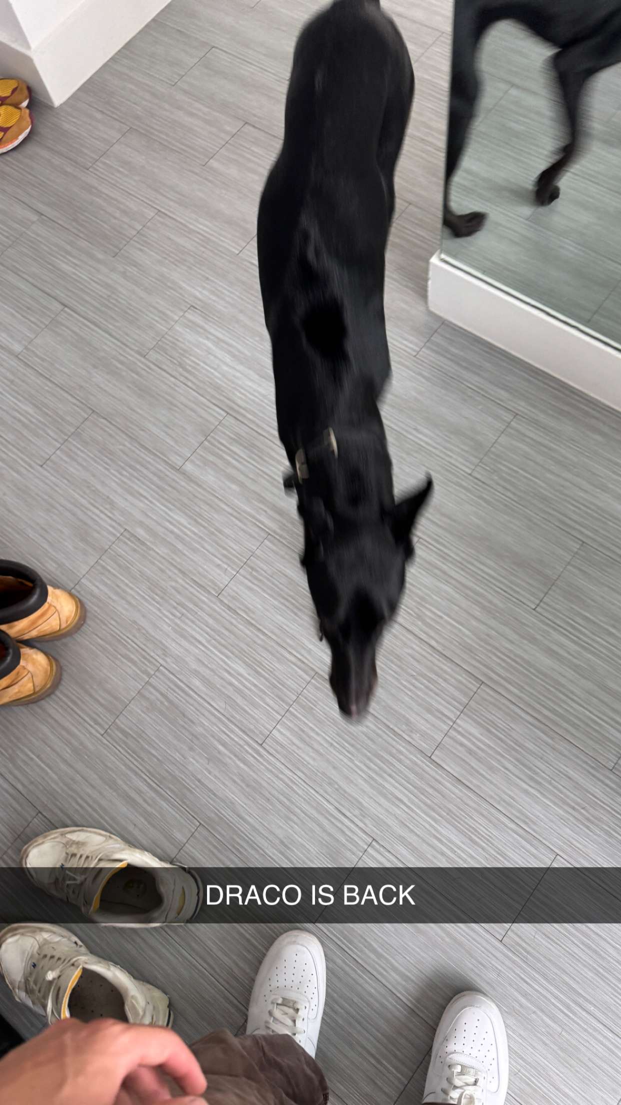 jacobxday snapchat image archive image