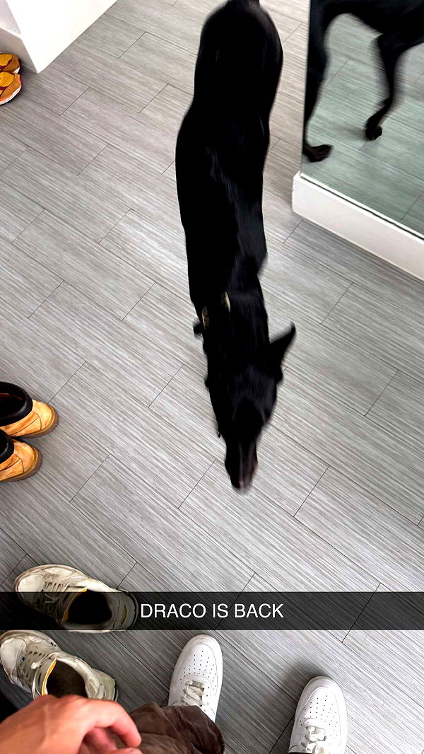 jacobxday image ~ Altpins